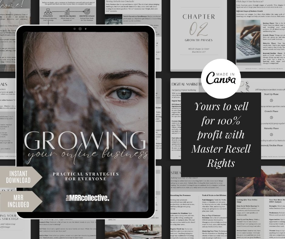 HOW TO GROW YOUR ONLINE BUSINESS E - BOOK - The MRR Collective
